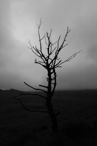 http://www.johncarolan.co.uk/files/gimgs/th-1_37_20030622-CRW_3811_v2.jpg