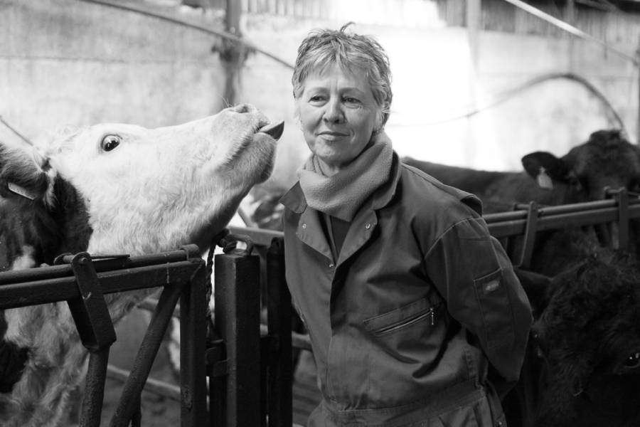 http://www.johncarolan.co.uk/files/gimgs/th-9__P6C4442_v3.jpg